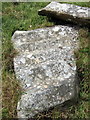 Corrugated rock at Dyffryn Syfynwy