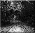 Miniature railway, Littlehampton, Sussex