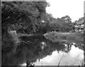 River Wandle at Carshalton