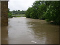 Clifton Beck in spate, Thornhill Briggs, Brighouse