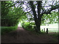 Byway near Little Buckholt Farm, Buckholt