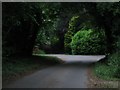 Buckholt Lane and byway near Little Buckholt Farm