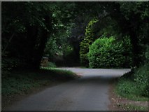 SU2632 : Buckholt Lane and byway near Little Buckholt Farm by Andy Gryce