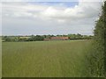 TF9439 : Whey Curd Farm, Wighton by Nigel Jones