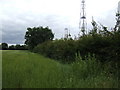 Barley field and Humble Green masts