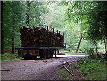 SU2114 : Timber trailer, Islands Thorns Inclosure, New Forest by Jim Champion