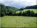 Valley between Lady Hill Wood and Llancaeo Hill