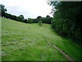 View towards to Cockshoot Wood