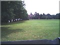 Lime Trees, Master Park, Oxted