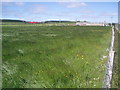 South Ronaldsay Farmland