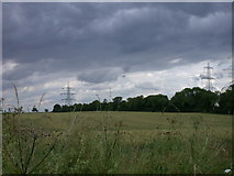 TL5762 : Middle Hill with windbreak and power lines by Keith Edkins