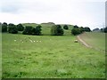 Field Below Castle Hill