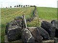 A Boundary Wall