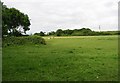 View of paddocks at Warren Farm Stables