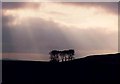 SD9493 : Stackhill House Silhouette by Andy Beecroft