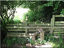 ST5499 : Stile on the way to the Devil's Pulpit by Roy Parkhouse