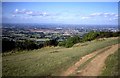 Path on the top of Leckhampton Hill