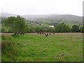 Kilcreen Townland