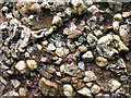 Conglomerate rock called puddingstone.