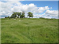 Old quarries in Keenley (2)