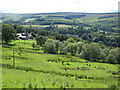 Pastures above Monk Farm