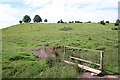 Footbridge on Coombe Green Common