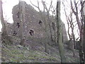 NK0948 : Ruins of Ravenscraig Castle by Jim Davidson