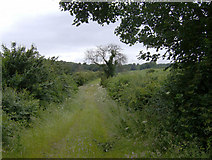 TA1803 : Old lane to Swallow Vale Farm by John Martin