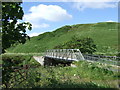 Footbridge over Dunbeath Water