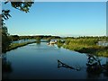 Upstream from Sutton Bridge