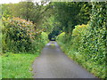 ST6160 : Featherbed Lane, Clutton by Brian Robert Marshall
