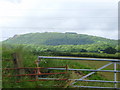 Black Hayes in the foothills of the Wrekin