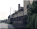 Coventry Canal near Bridge 6