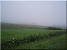 NO5151 : Muck heap in the mist! by Gwen and James Anderson