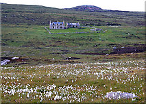 NF7372 : Cottongrass and derelict houses in North Uist by Greg Morss
