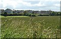 Northern Edge of Crail