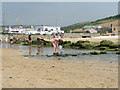 Fishing for tiddlers on Porth Beach