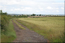 SK7687 : Farmland near Wheatley Wood Farm by Alan Murray-Rust