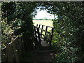 Bridge over the Dyke walking from Holts Lane