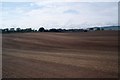 Farmland, Mains of Ravensby