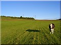 Pasture beneath Beacon Hill