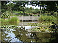 Ornamental Pond at Glyde