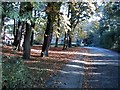 Looking up Church Road towards the Church