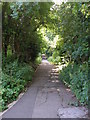 The footpath down to Yarm