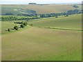 SU0535 : Farmland, Little Langford by Andrew Smith