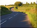 Road near Middle Wallop