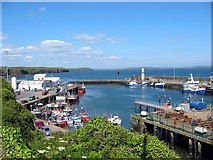 S6900 : Dunmore East Harbour by Paul O'Farrell