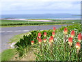 By Ward Hill, Shapinsay