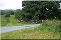 Tal y Bont  Bridge