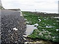 TR3846 : Looking N along the shore near Kingsdown by Nick Smith